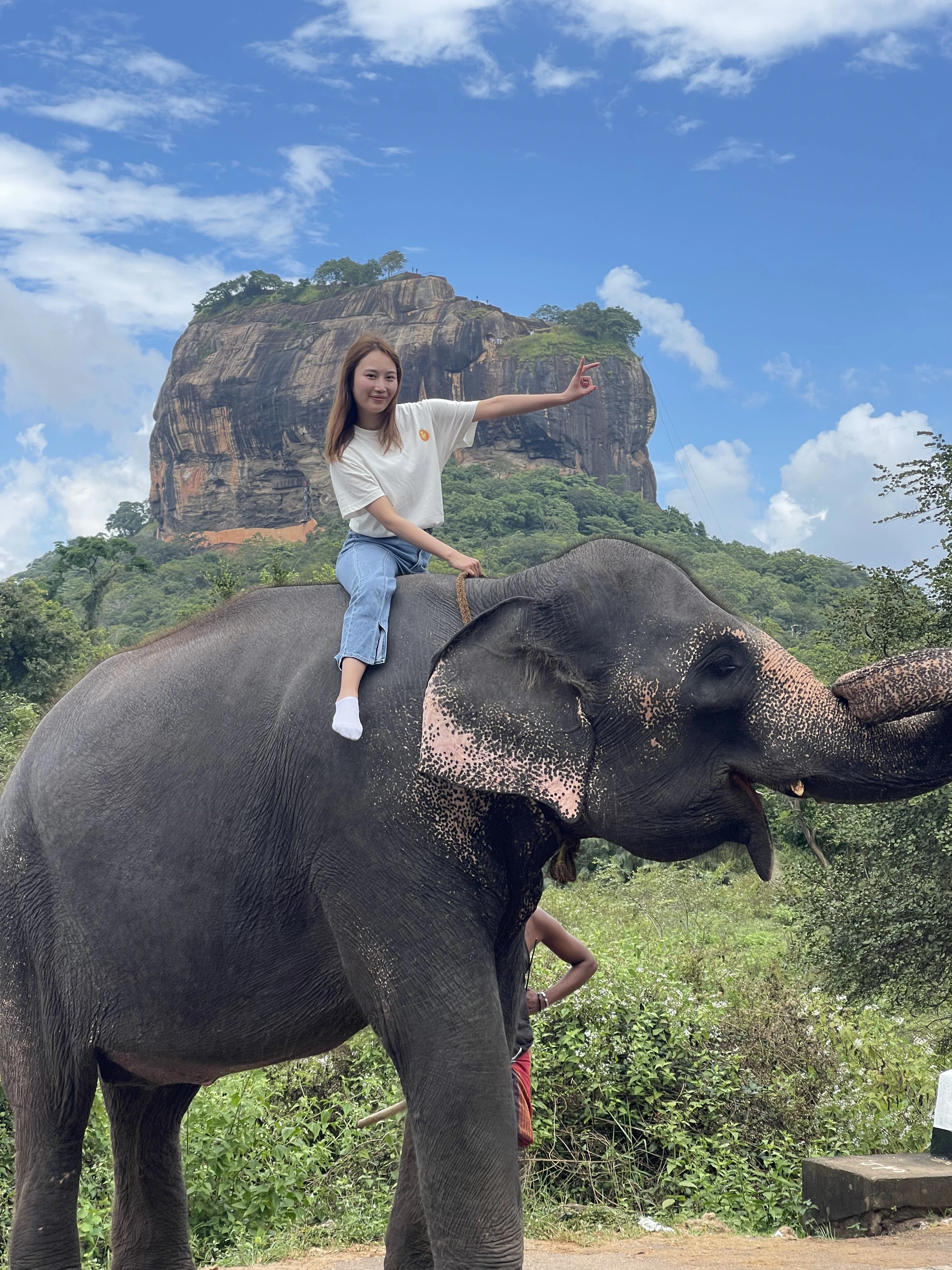 JTGC Gallery Image 3